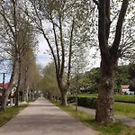 Jutta Vizkoezeli Nyaralo * Balatonboglar
